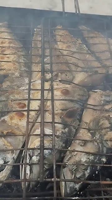 Маленькая ферма. Скумбрия на мангале, это вкуснятина.