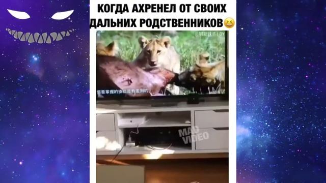 РЖАКА🤣САМЫЕ СМЕШНЫЕ ПРИКОЛЫ 2019| ПОДБОРКА ИНСТАГРАМ ПРИКОЛОВ #5