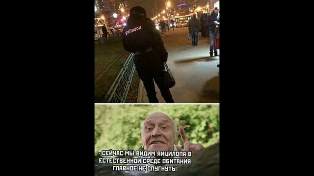 Лютые приколы ФОРСАЖ УЖЕ НЕ ТОТ! Самое смешное видео! Засмеялся проиграл! – Dom смотреть онлайн