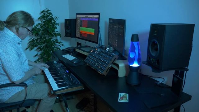 Dawn at Lees Woods - Ambient Live Performance