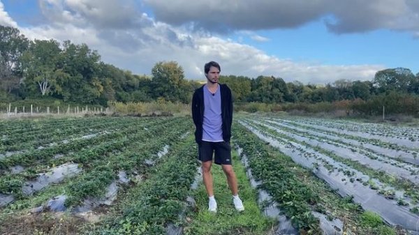 500 тысяч с 10 соток клубники, реально ?