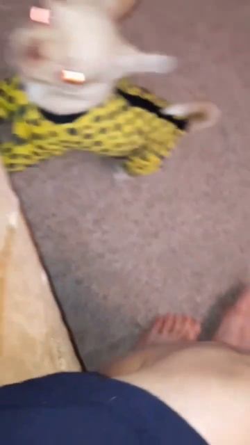 Шило в попе смотреть онлайн