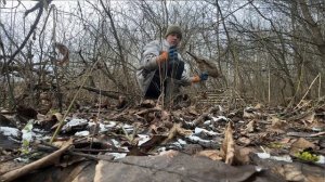 Проверка Ловушек На Фазана, Два Сразу! Лучшие Ловушки ?