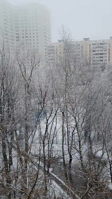 снег Москва 01.04.23 шутка/snow Moscow 01.04.23 jokes of nature #shorts #spring2023 #snow #jokes смотреть онлайн