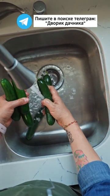 Подкормки для огурцов в августе #огород #полив #сад #са? смотреть онлайн