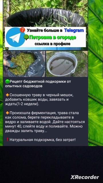 рецепт подкормки народной смотреть онлайн