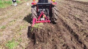 Картофелекопалка на японский минитрактор Yanmar. Вскопа?