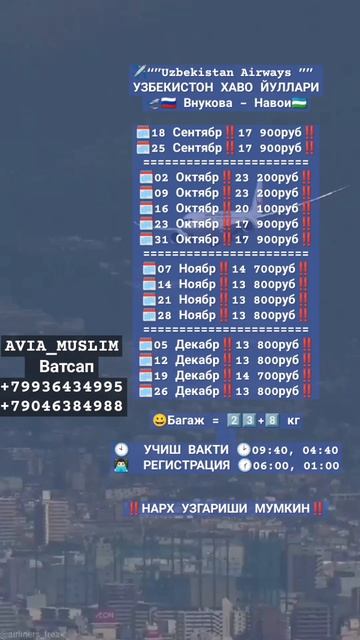 5.09.2024 БУГУНГИ АВИАБИЛЕТ НАРХЛАРИ #авиабилеты #uzbekistanairwa смотреть онлайн