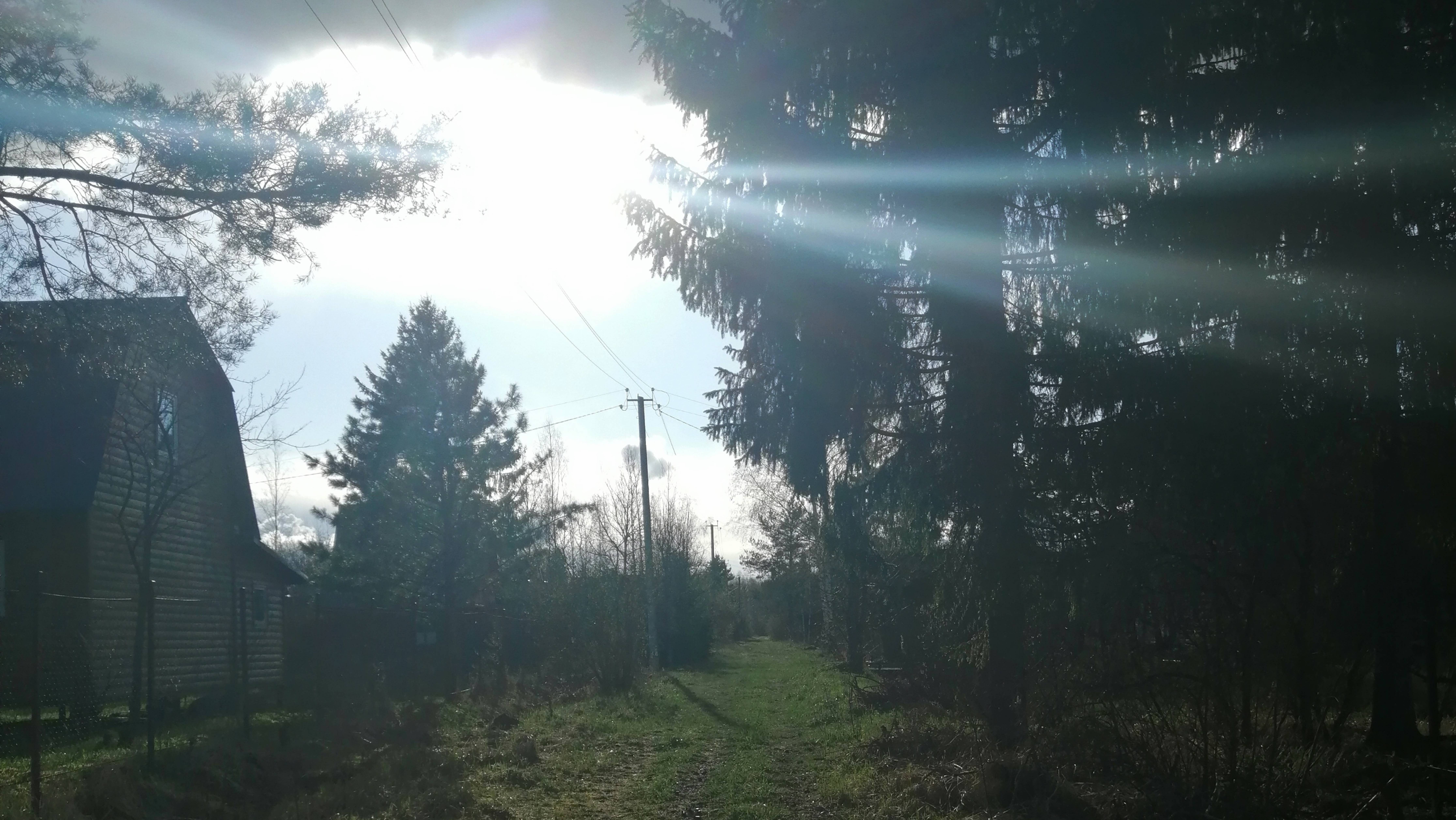 Дача за 150.000р - 5 серия: Уборка участка и обновки