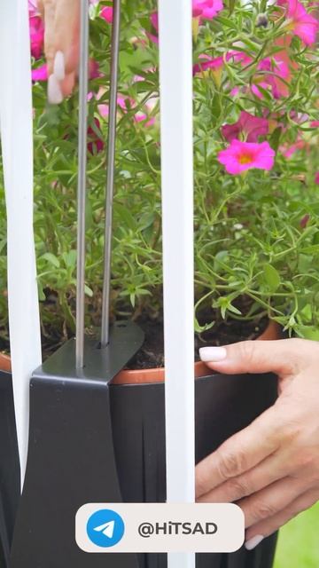 Красивая терраса в цветах - подставки для кашпо смотреть онлайн