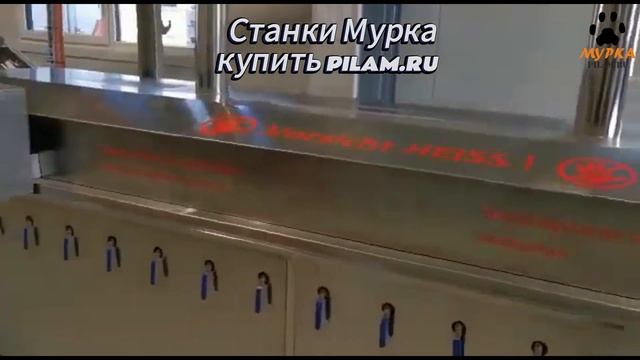 Мурка Автоматический станок для бланширования фрукто смотреть онлайн