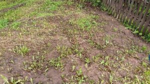 Шланг поливочный садовый растягивающийся Velirus чудо шл