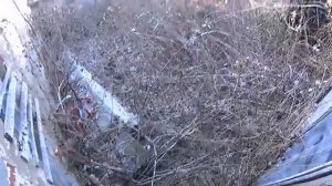 СТАРИННАЯ БОГАТАЯ ЗАБРОШЕННАЯ ДЕРЕВНЯ. Много находок СТАРИНЫ. Деревни глубинки России.Тамбовская обл