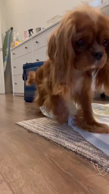 #дюк старое видео, сейчас вообще не чмокает смотреть онлайн