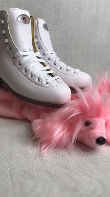 Чехлы-сушки для лезвий коньков от магазина SPORTIVI. Пудел смотреть онлайн