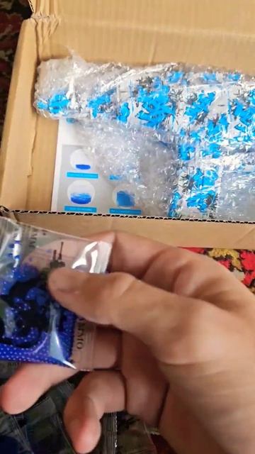 Орбибольный автомат.Цена на авито: 2100руб.#орбиз #автом? смотреть онлайн