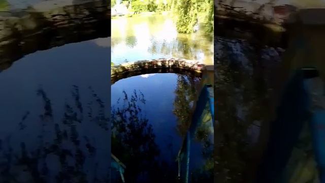 Озле колодца смотреть онлайн