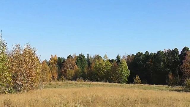 Шеркалы в стиле...👋😉