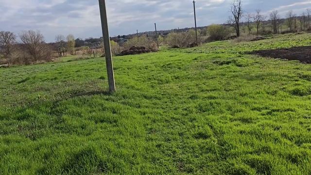 Обзор огорода 2025, Что выросло и взошло, Начало апреля, ? смотреть онлайн