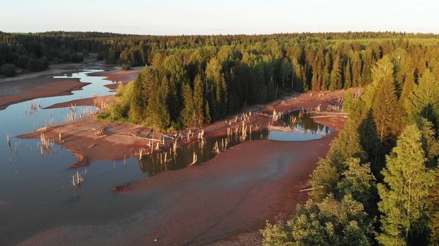 Полёт над обмелевшим прудом. смотреть онлайн