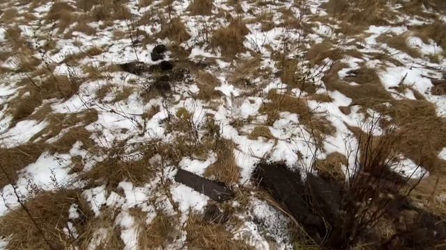 Поиск Металлолома в 25 году! #metaldetecting #коп