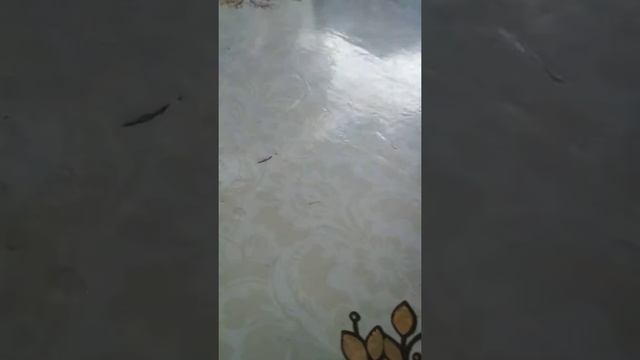 Пальцы танцуют (Первый танец) смотреть онлайн