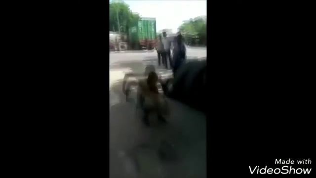 Приколы #1 (засмеялся поставь лайк и подпишись) смотреть онлайн