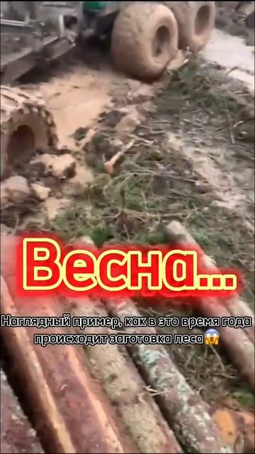 #лес #заготовкалеса #брус #зимнийлес #деревянныйдом #до смотреть онлайн