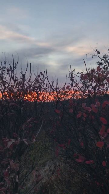 Закат на КМВ возле горы Бештау смотреть онлайн