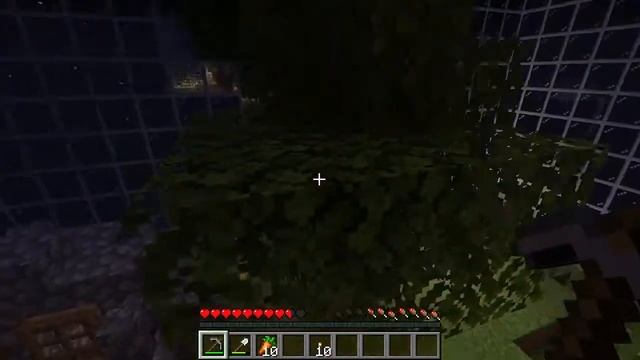 Выживание #6