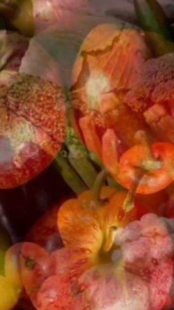 Совет дачникам и огородникам на хороший урожай. смотреть онлайн