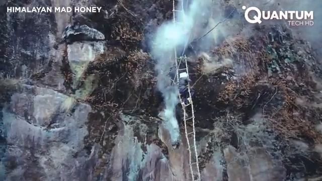 How Men Risk Death For Hallucinogenic Mad Honey
