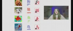 Китайский язык. Урок 6. Питомцы