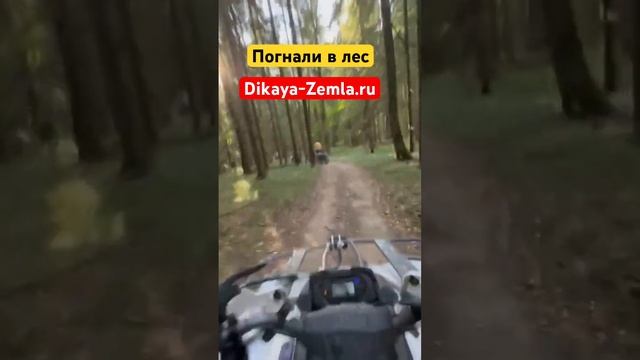 Авторские туры на квадроциклах тел 8-980-157-36-64 #квадроцы? смотреть онлайн