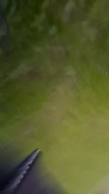 вот что значит обижать деда маразматиков.