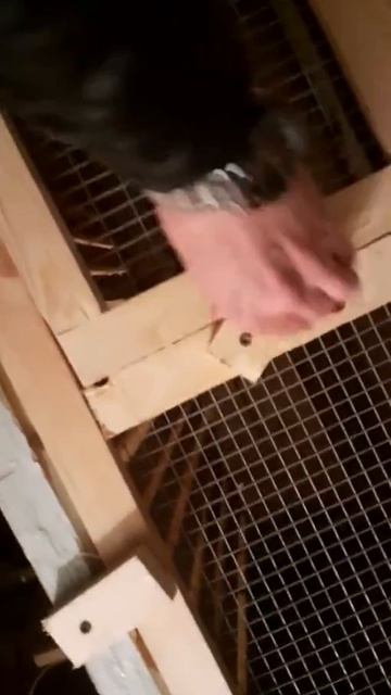 Разведение кроликов для начинающих. смотреть онлайн