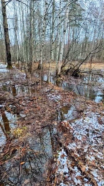 Ого вот это повезло! смотреть онлайн