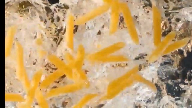 Реклама Первый канал 17.02.2023