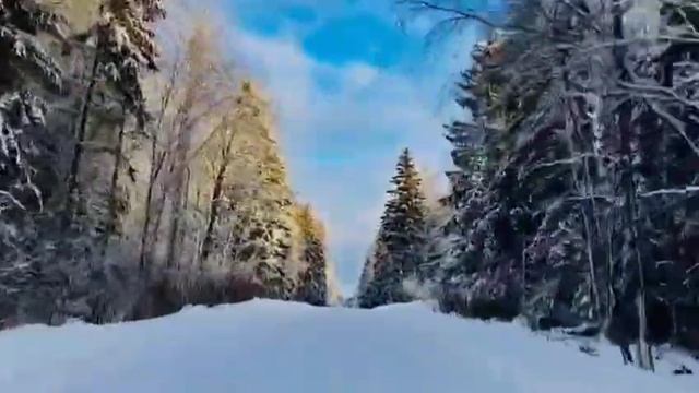 Красивая Азербайджанская песня смотреть онлайн