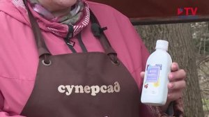 Директор ботанического сада ВГАУ об «Индиго, КС»