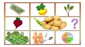 Живые мнемотаблицы  Стихотворение  Огород   наше всё!