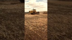 Посев зерновых культур