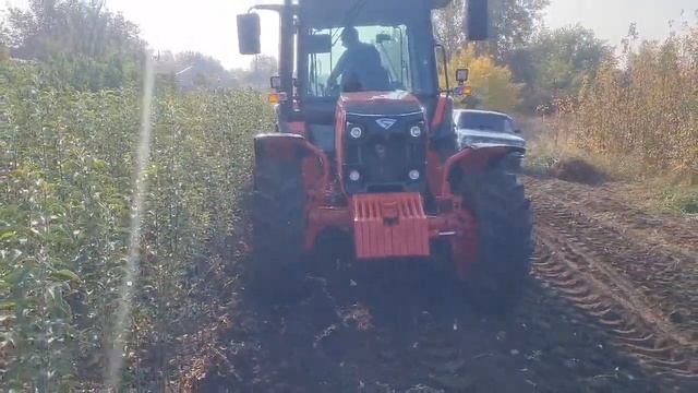 Выкопка саженцев вибро скобой,плуг для выкопки саженц смотреть онлайн