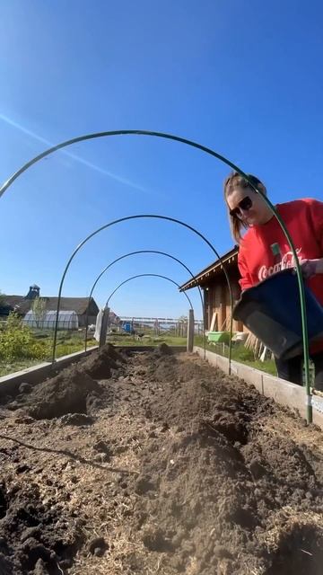 СЛАДКИЙ ПЕРЕЦ садим рассаду в парник #shorts #сладкийпере смотреть онлайн