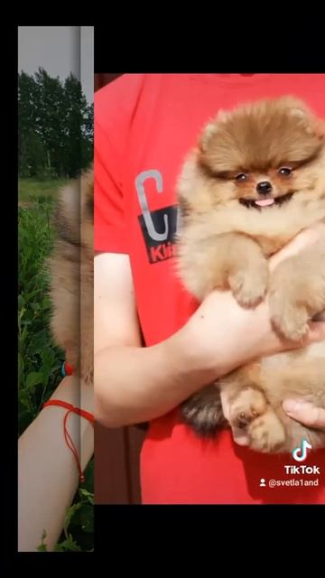 14 июня 2022 г. смотреть онлайн