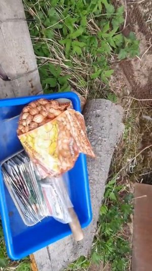 12 мая садим огород!