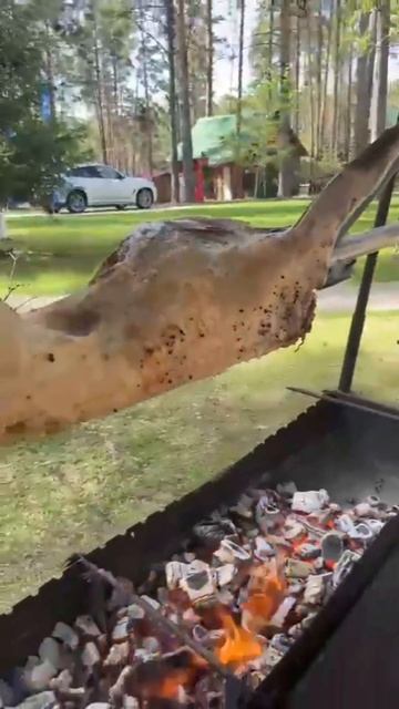 Кейтеринг - выездные банкеты, фуршеты Тольятти, Самарс смотреть онлайн