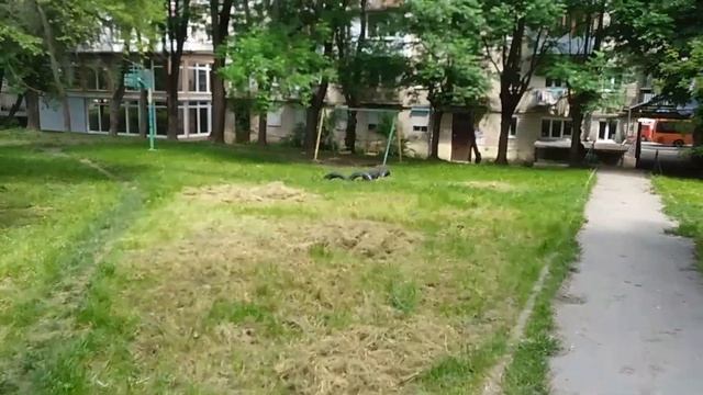 Вы можете всё . Стоит только захотеть! Ваш двор может с? смотреть онлайн