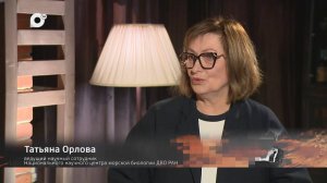 У камина / Татьяна Орлова / 06.05.25