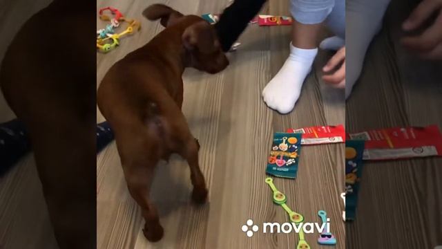 Скрепыши. Открываем последние, акция закончилась .